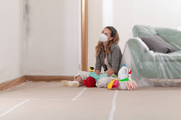 Reliable Mold Removal contractor in Palmyra, PA by WQB Mold Removal